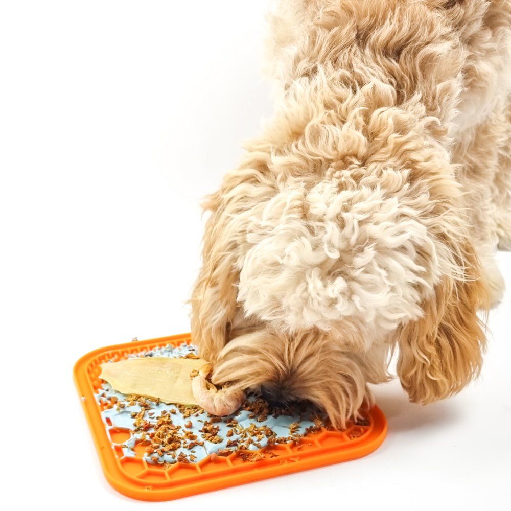 Dog Food Toppers - The Secret Ingredient Missing From Your Dog’s Bowl. - DoggyTopia