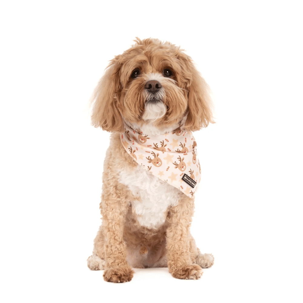 Big & Little Dogs Dashing Through The Stars Dog Bandana - Bandanas from Sale at DoggyTopia