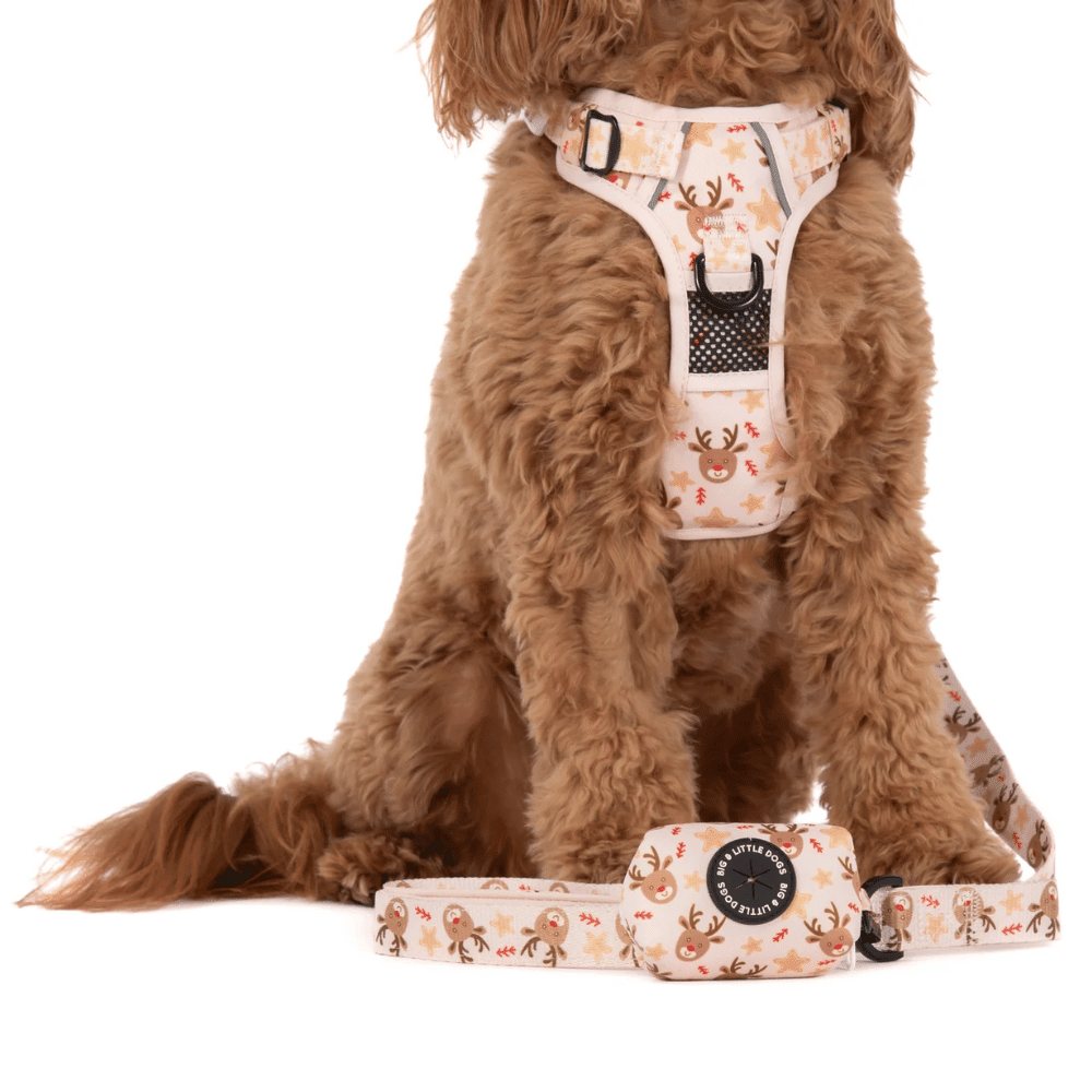 Big & Little Dogs Dashing Through The Stars Poop Bag Holder - Poop Bag Holders from Sale at DoggyTopia