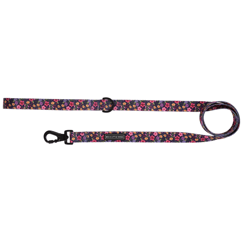 Big & Little Dogs Petal Paradise Dog Leash - Leashes & Leads from Sale at DoggyTopia