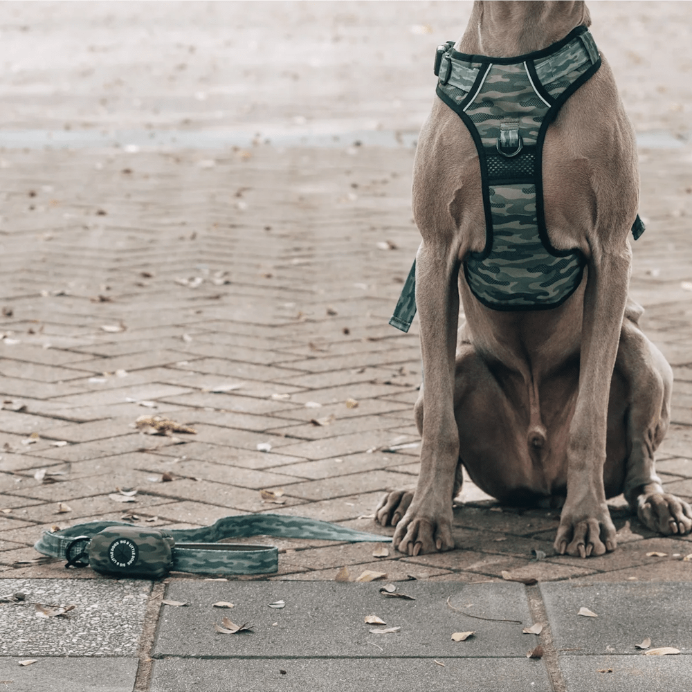 Big & Little Dogs Poop Bag Holder: Camouflaged - Poop Bag Holders from Big & Little Dogs at DoggyTopia