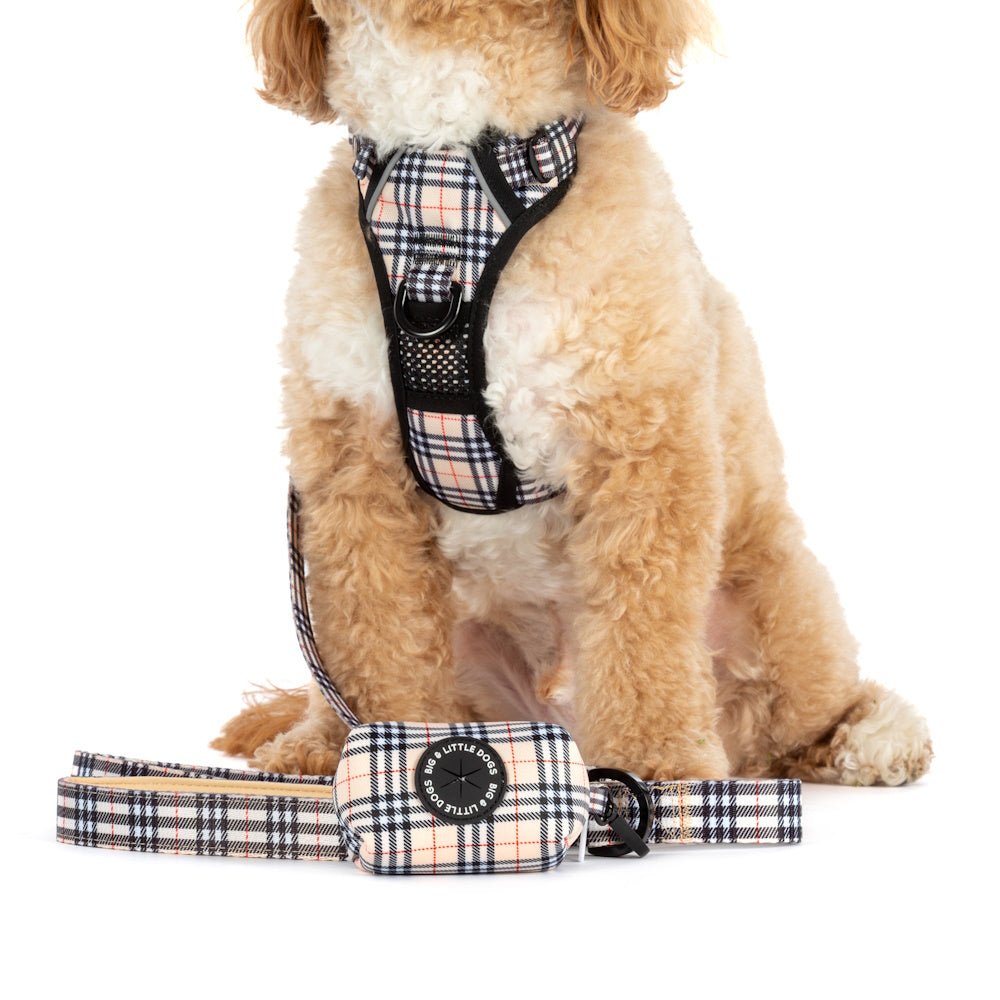 Big & Little Dogs Poop Bag Holder: Nova Plaid - Poop Bag Holders from Big & Little Dogs at DoggyTopia