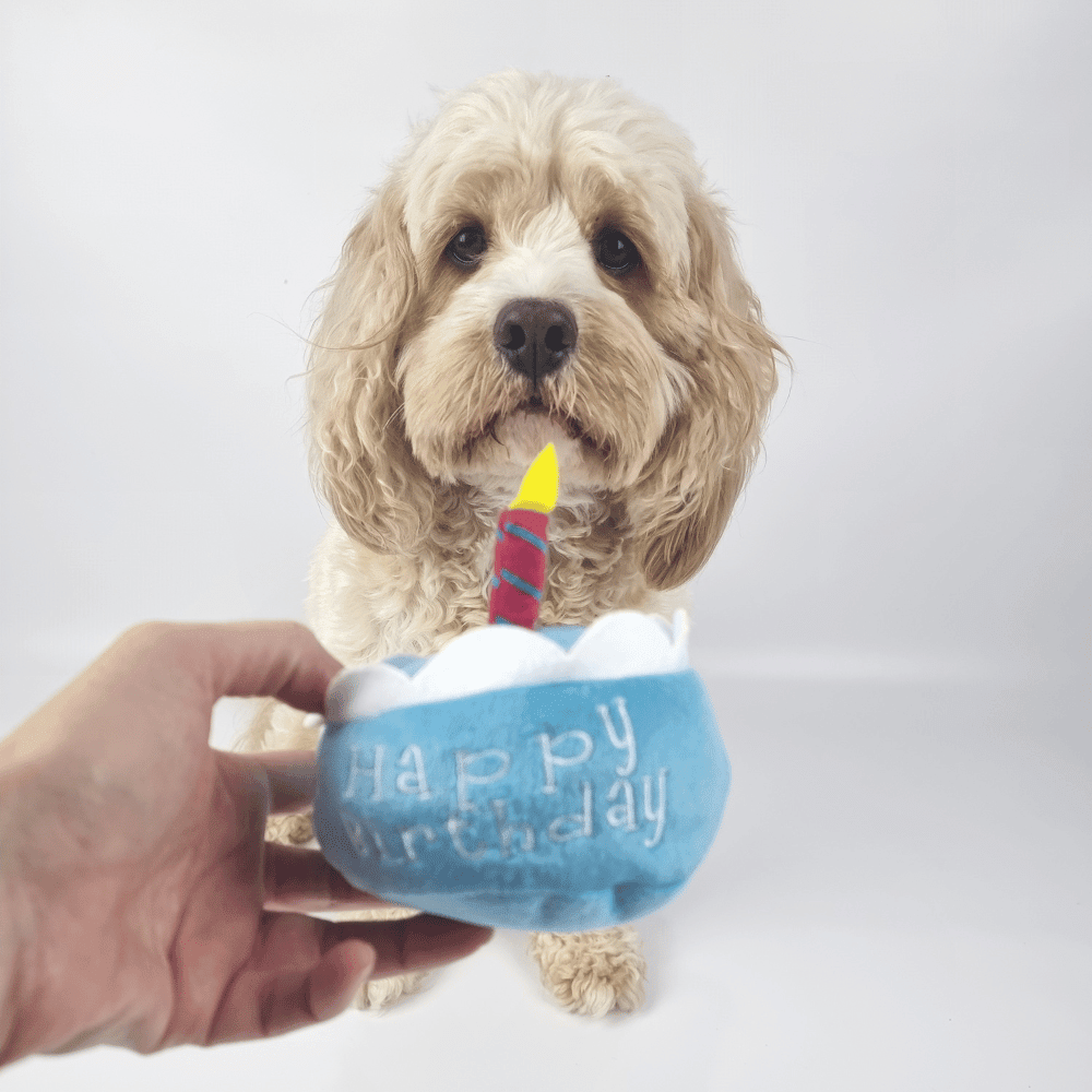 Birthday Cake Dog Toy - Blue - Designer Toys from . at DoggyTopia