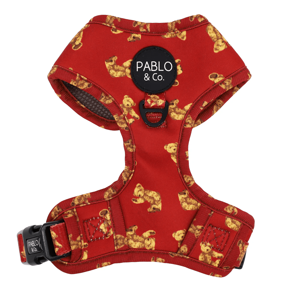 Pablo & Co Henry Bear Adjustable Harness - Adjustable Harnesses from Pablo & Co at DoggyTopia