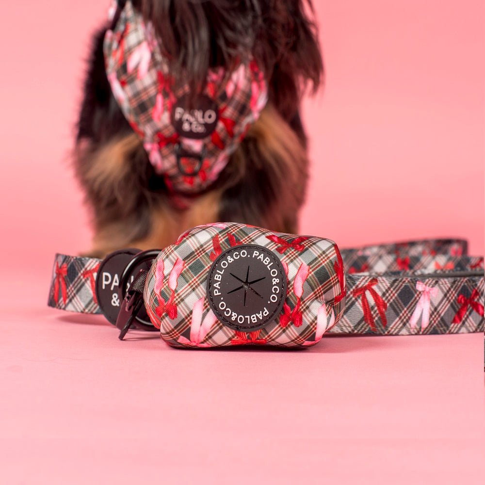 Pablo & Co Wrapped in Ribbons Poop Bag Holder - Poop Bag Holders from Sale at DoggyTopia