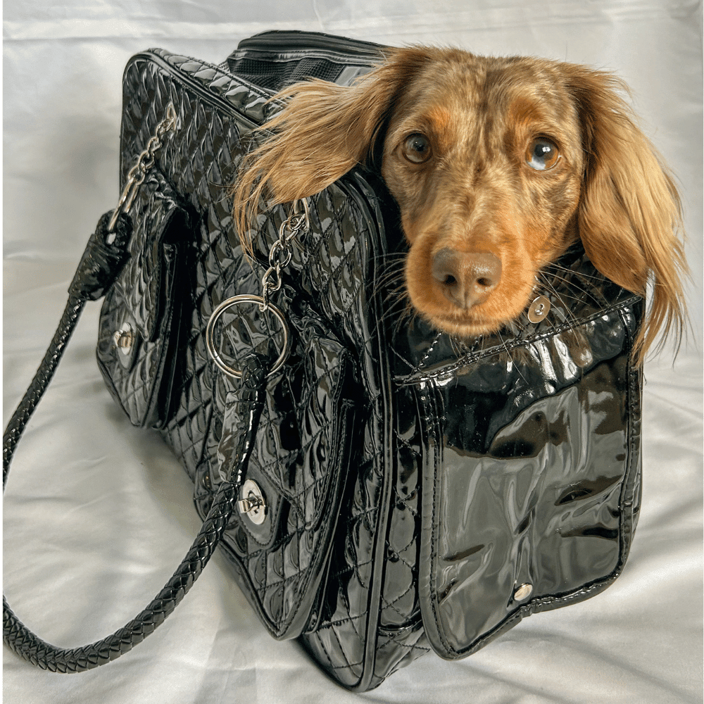 Quilted Patent Dog Carrier - Black - Dog Carriers from . at DoggyTopia