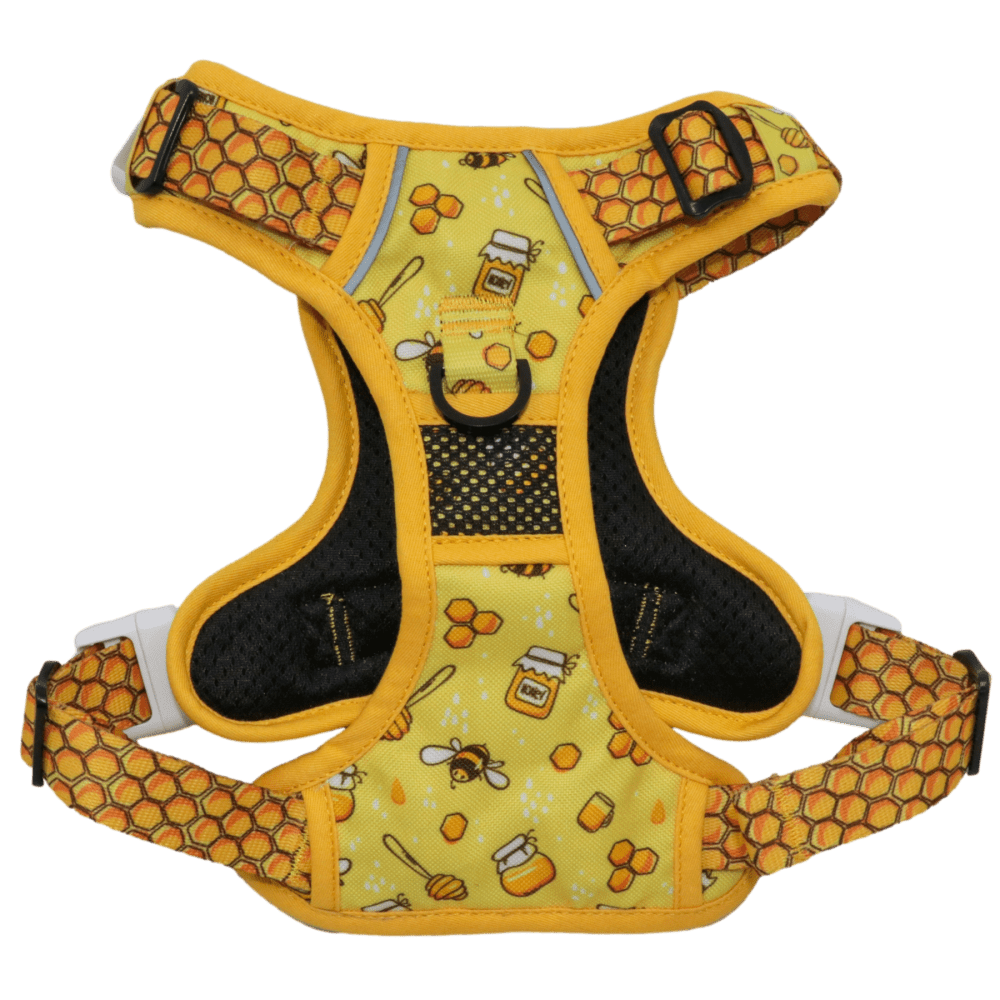 Big & Little Dogs Bee - Hiving All Rounder Harness - All Rounder Harnesses from Big & Little Dogs at DoggyTopia