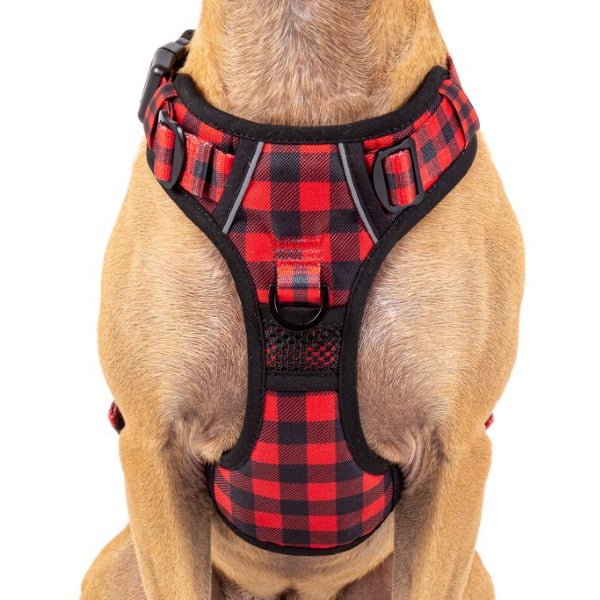 Big & Little Dogs Plaid To The Bone All Rounder Harness - All Rounder Harnesses from Big & Little Dogs at DoggyTopia