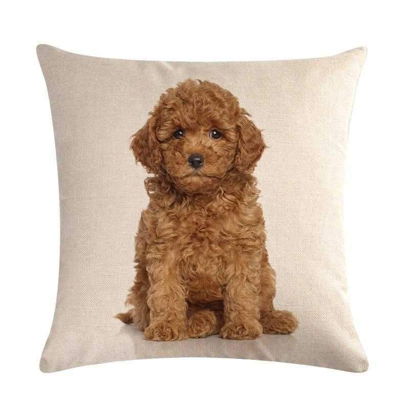 Cavoodle Throw Cushion - Cushions from . at DoggyTopia
