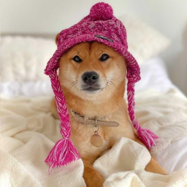 Knitted Dog Beanie - Magenta - Beanies from Sale at DoggyTopia
