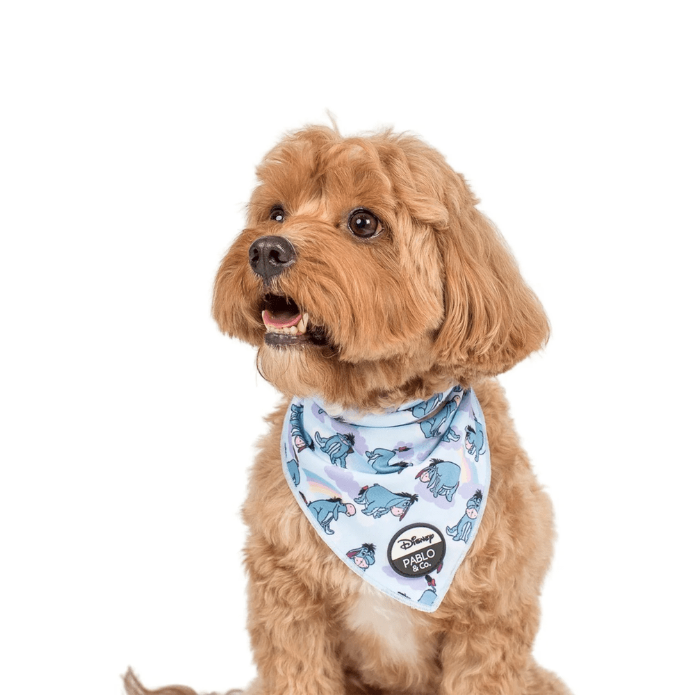 Pablo & Co Eeyore: Bandana - Bandanas from Pablo & Co Disney at DoggyTopia