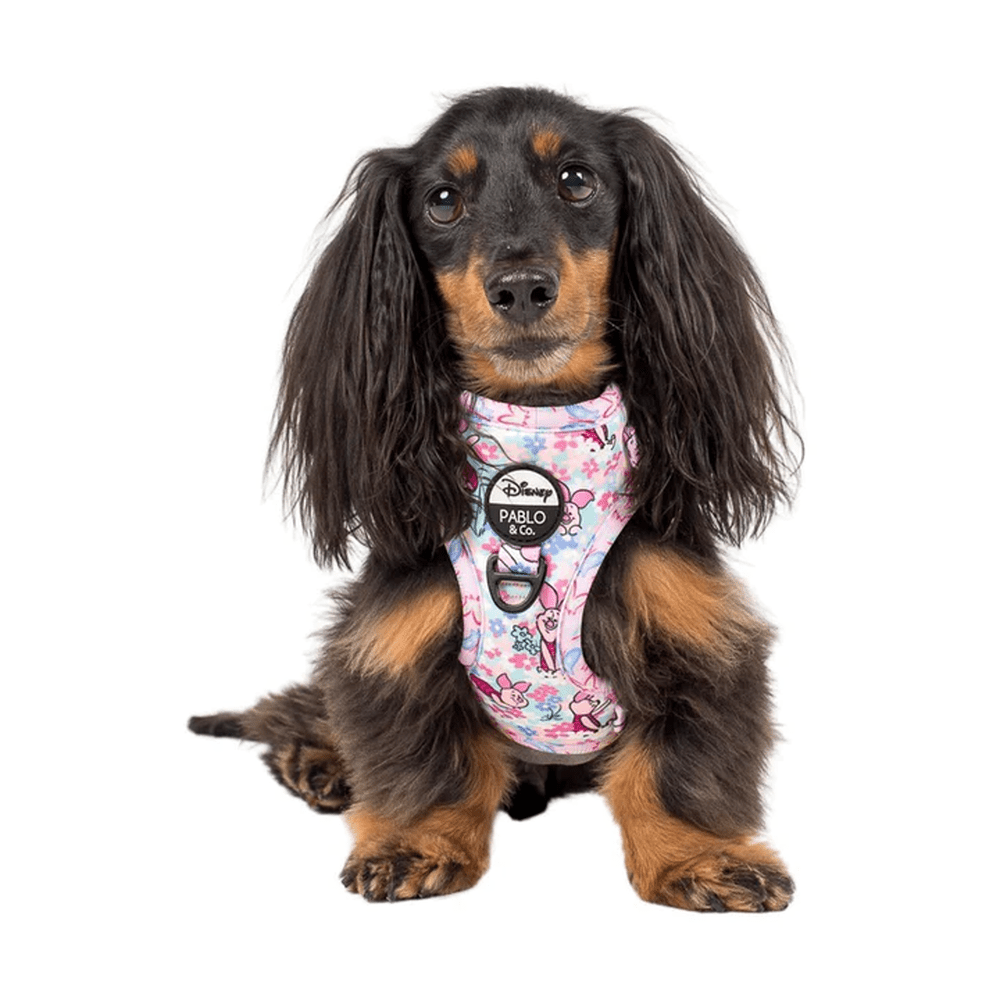 Pablo & Co Piglet: Adjustable Harness - Adjustable Harnesses from Pablo & Co Disney at DoggyTopia