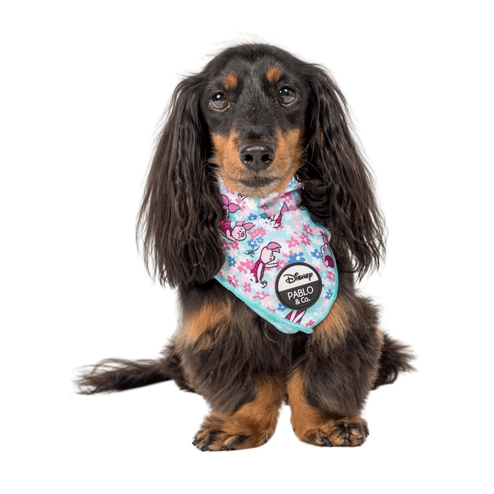 Pablo & Co Piglet: Bandana - Bandanas from Pablo & Co Disney at DoggyTopia