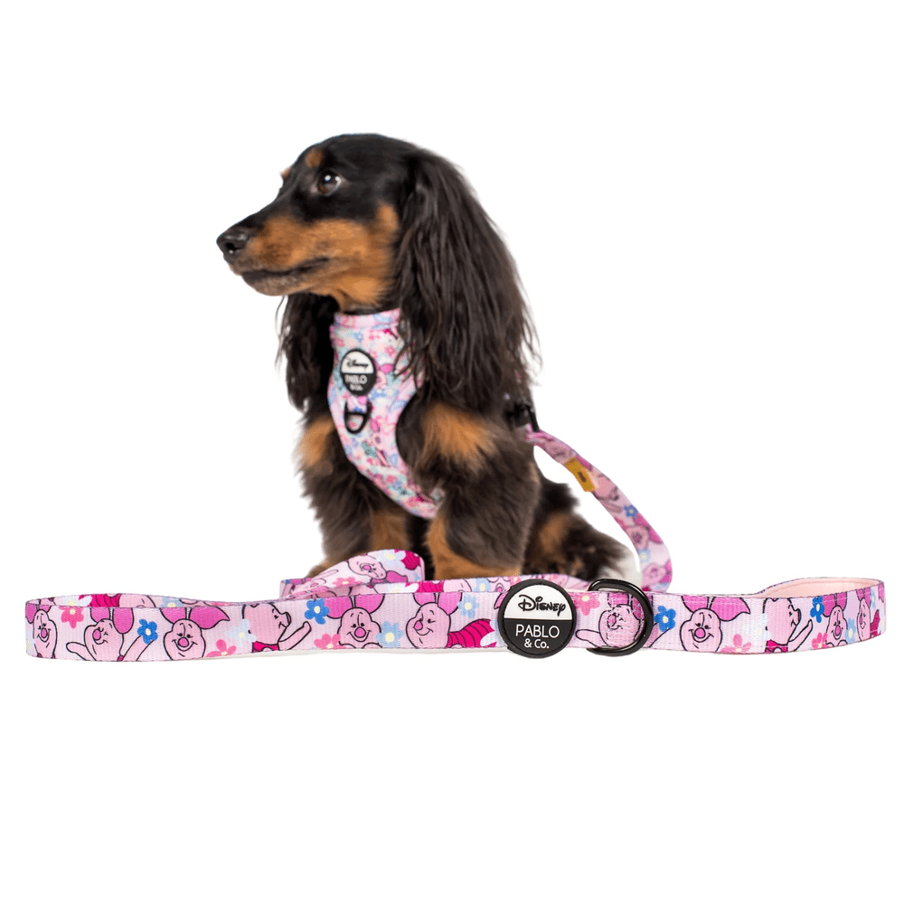 Pablo & Co Piglet: Dog Leash - Leashes & Leads from Pablo & Co Disney at DoggyTopia