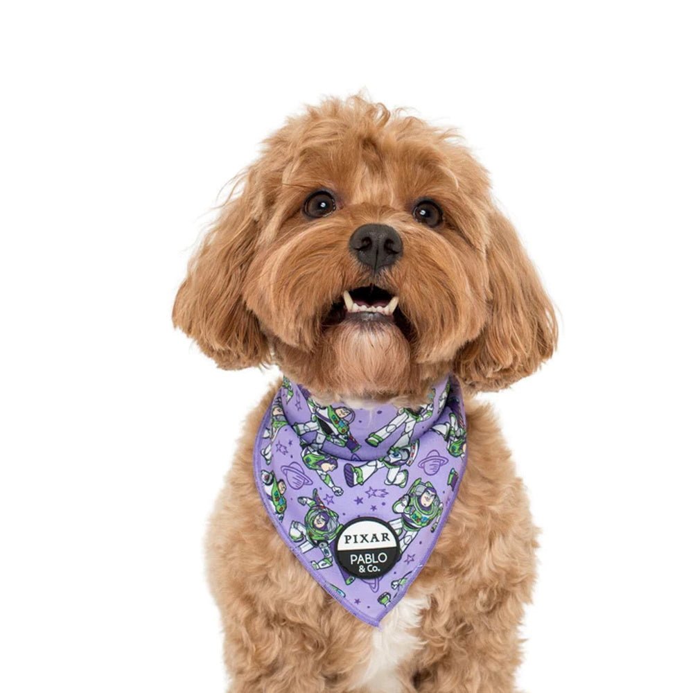 Pablo & Co Toy Story - Buzz Lightyear: Bandana - Bandanas from Pablo & Co Disney at DoggyTopia