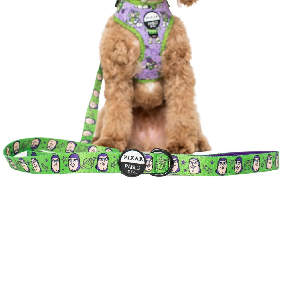 Pablo & Co Toy Story - Buzz Lightyear: Dog Leash - Leashes & Leads from Pablo & Co Disney at DoggyTopia