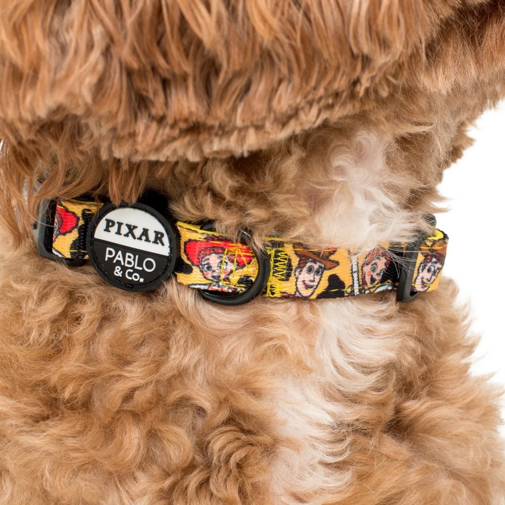 Pablo & Co Toy Story - Woody's Roundup: Dog Collar - Collars from Pablo & Co Disney at DoggyTopia