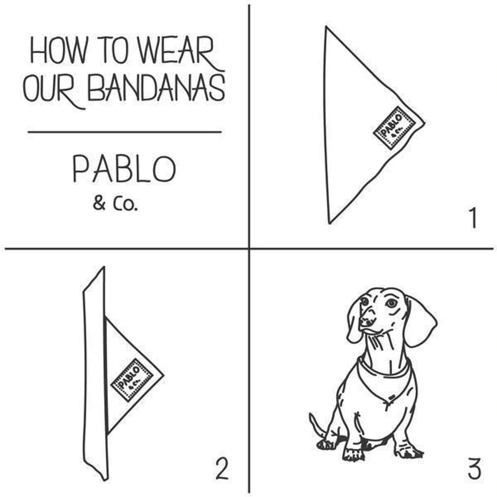 Pablo & Co Winnie the Pooh & Bee's: Bandana - Bandanas from Pablo & Co Disney at DoggyTopia