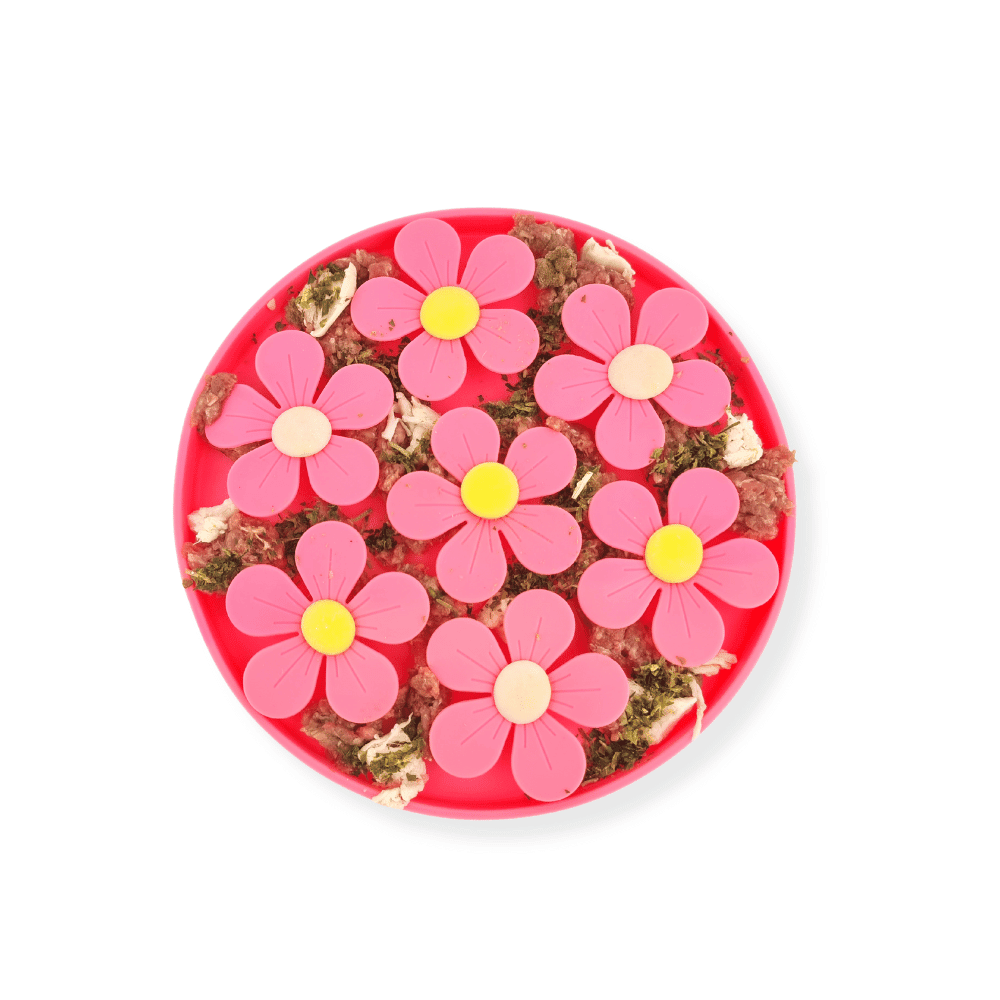 3D Flower Slow Feeder - Slow Feeding Bowls from . at DoggyTopia