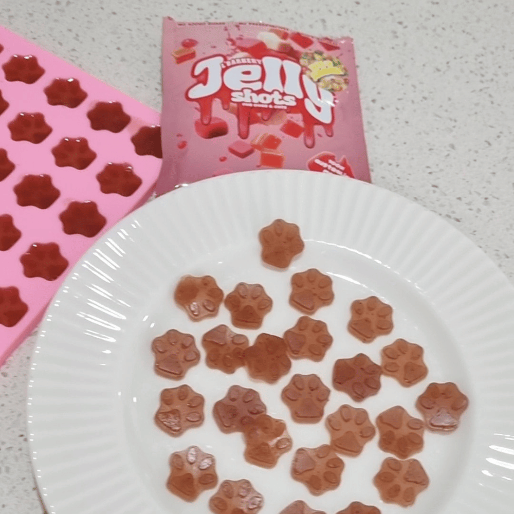 Mini Paws Silicone Mould