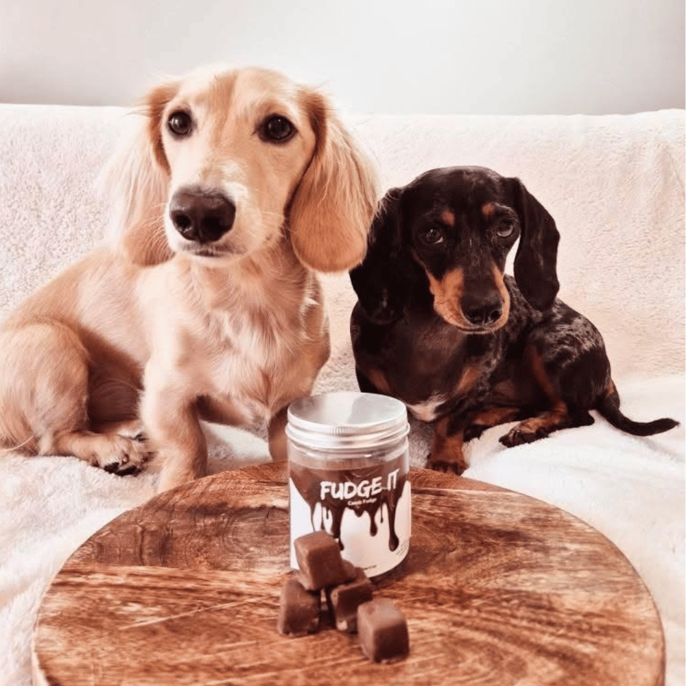 L'Barkery Fudge It