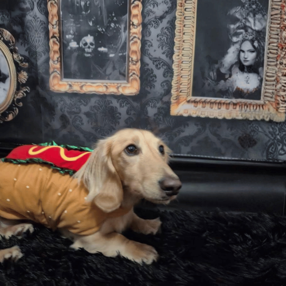Hot Dog Costume