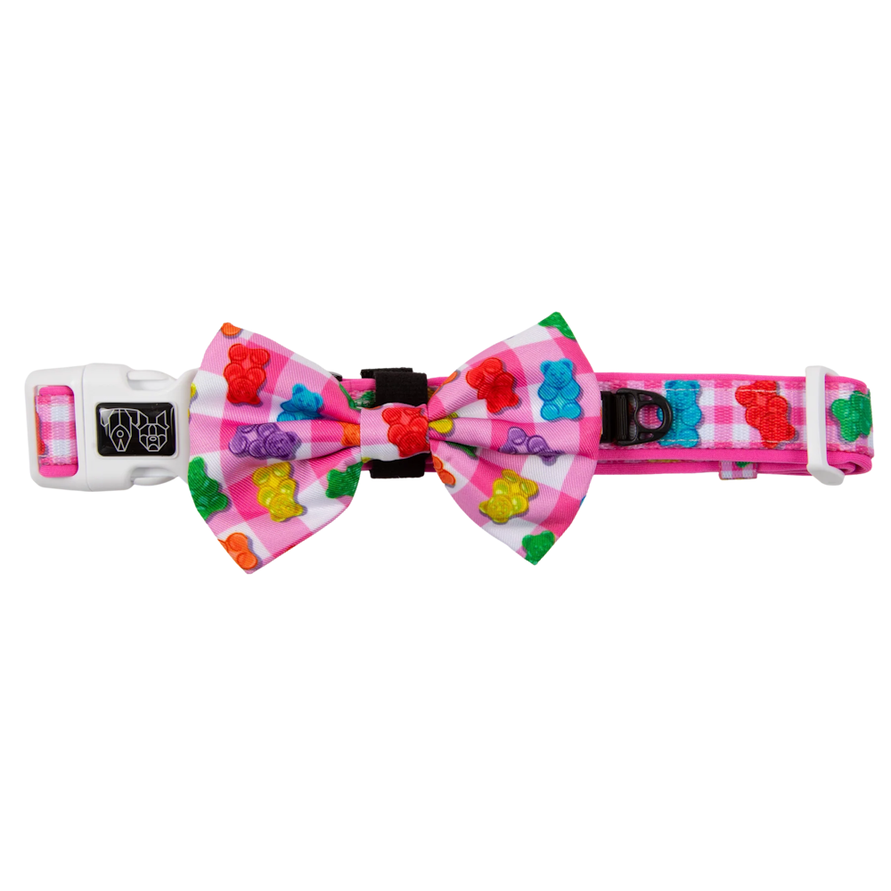 Big & Little Dogs Beary Sweet Collar & Bow Tie