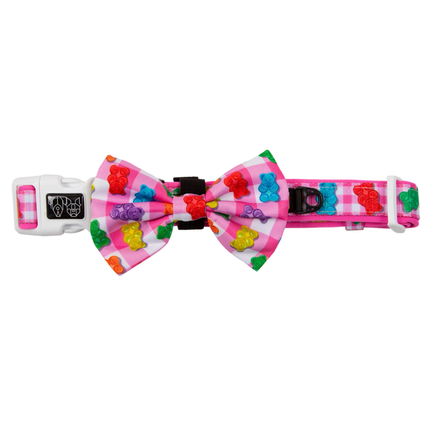 Big & Little Dogs Beary Sweet Collar & Bow Tie