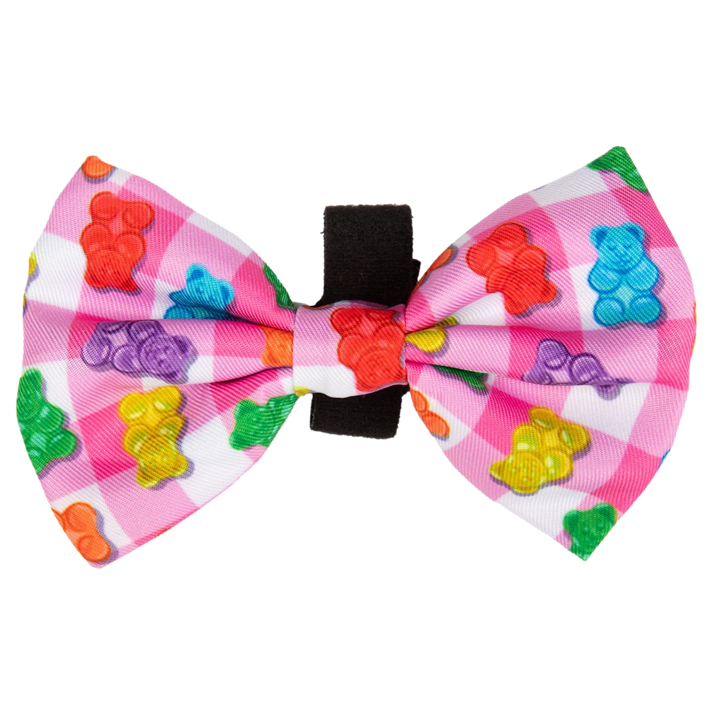 Big & Little Dogs Beary Sweet Collar & Bow Tie