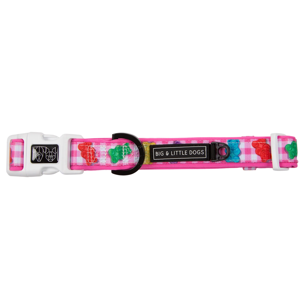 Big & Little Dogs Beary Sweet Collar & Bow Tie