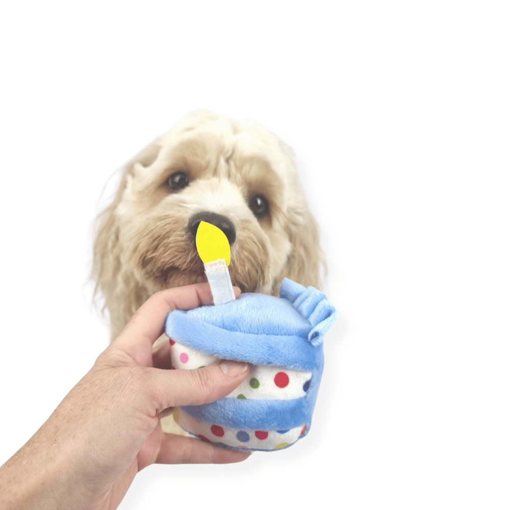 Birthday Cake Slice Dog Toy Blue