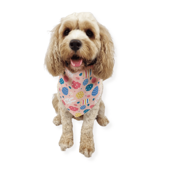 Bunny Egg Hunt Bandana