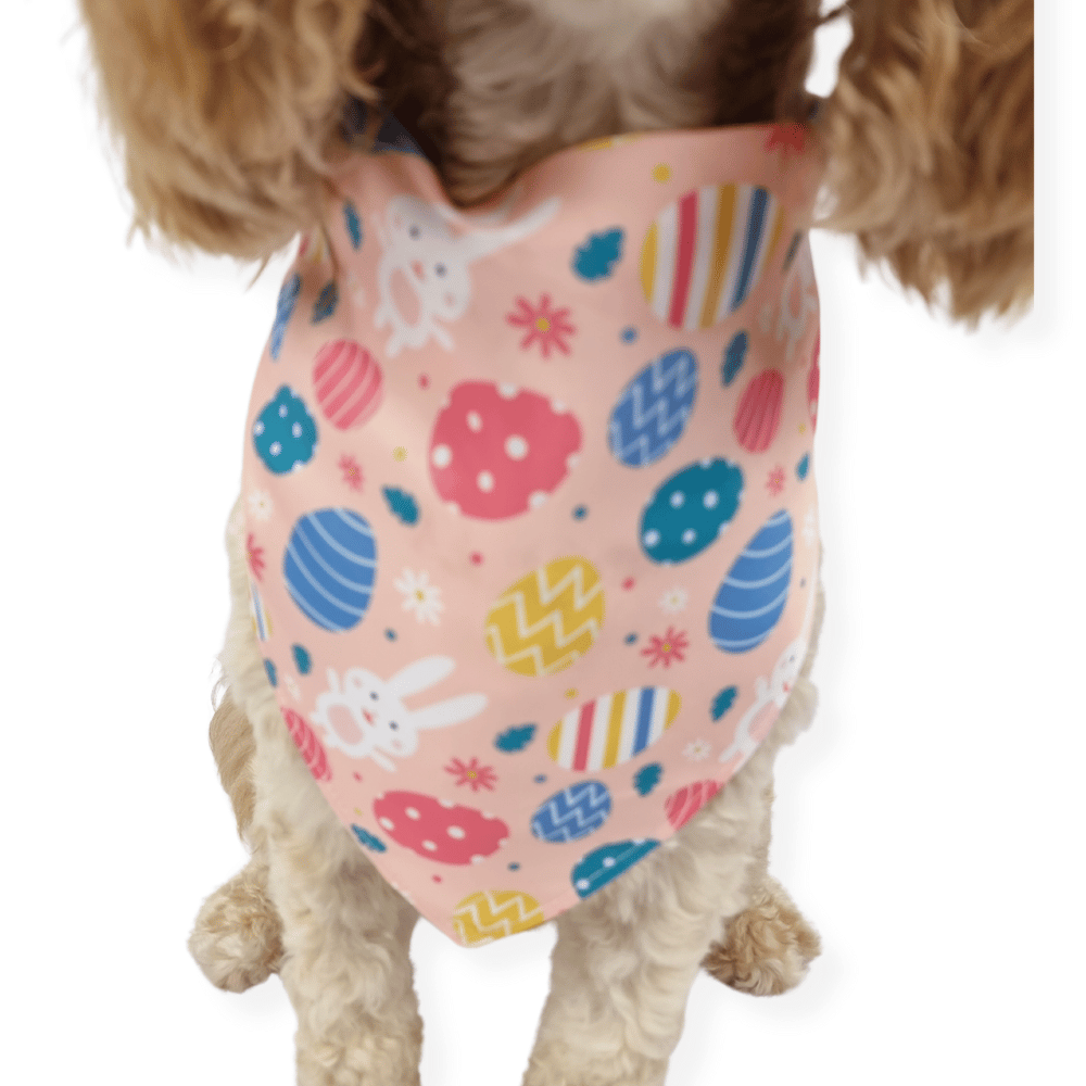 Bunny Egg Hunt Bandana