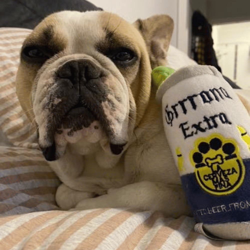 Grrrona Can Dog Toy