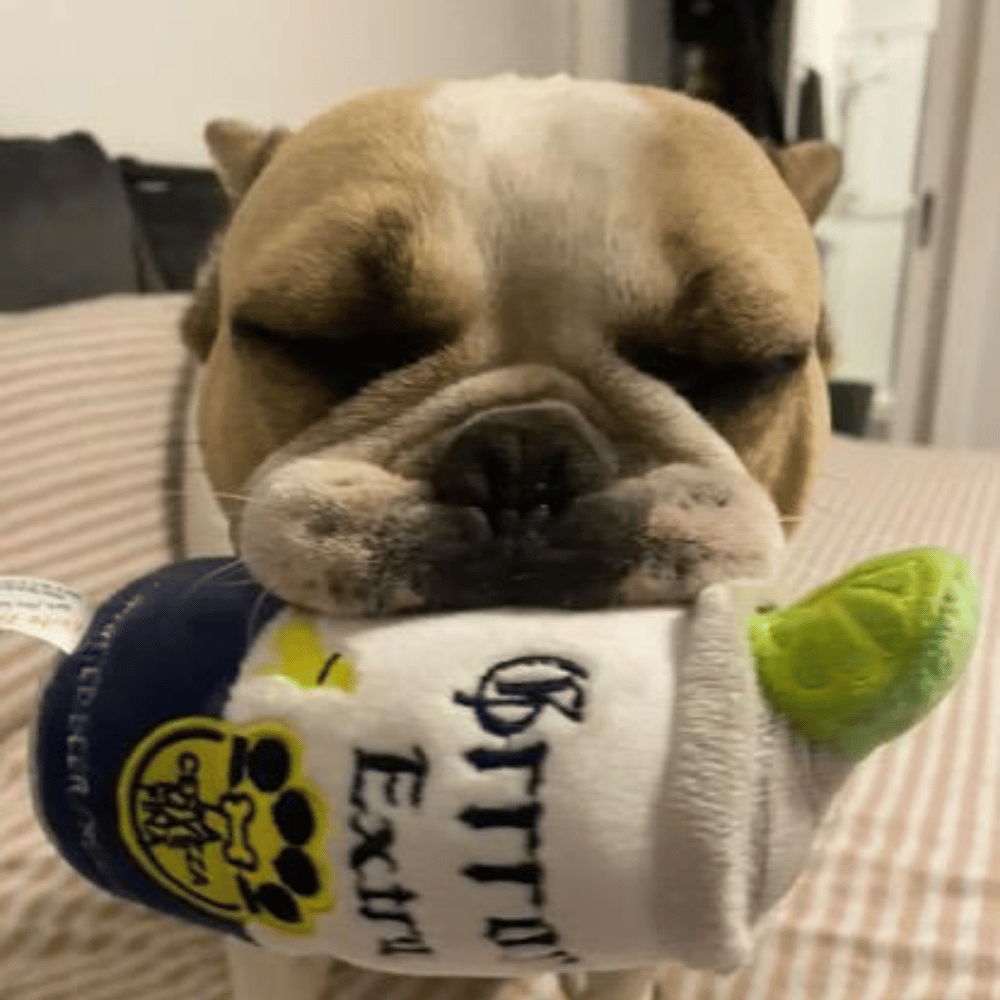 Grrrona Can Dog Toy
