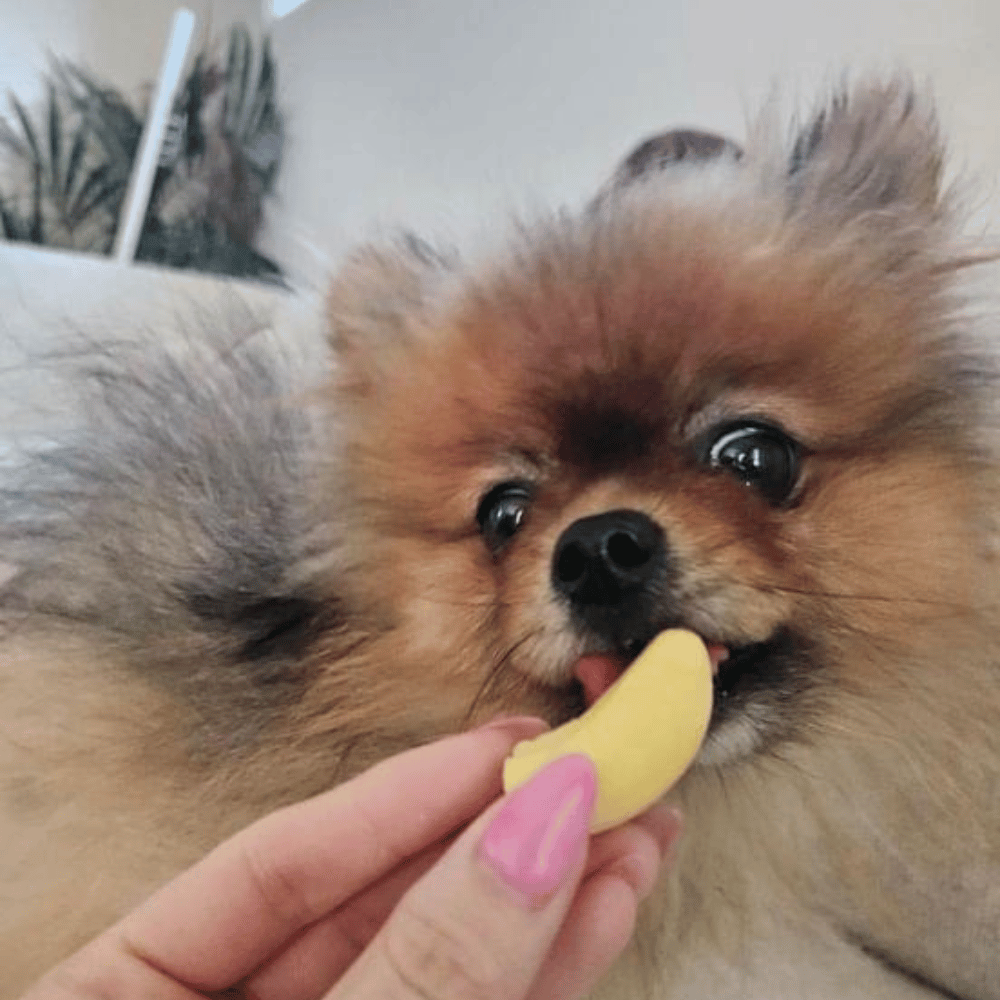 Pawty Mix Dog Lollies