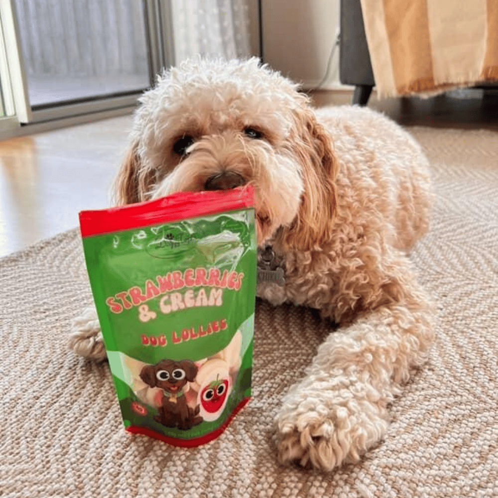 Strawberries & Cream Dog Lollies