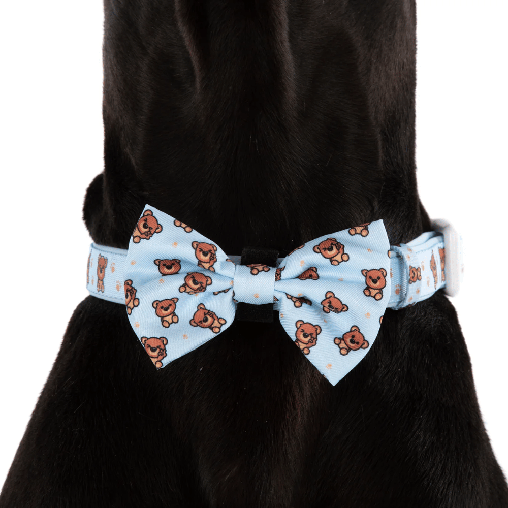 Big & Little Dogs Collar & Bow Tie: Cuddle Club