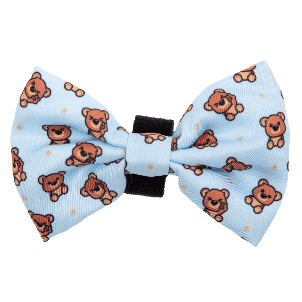 Big & Little Dogs Collar & Bow Tie: Cuddle Club
