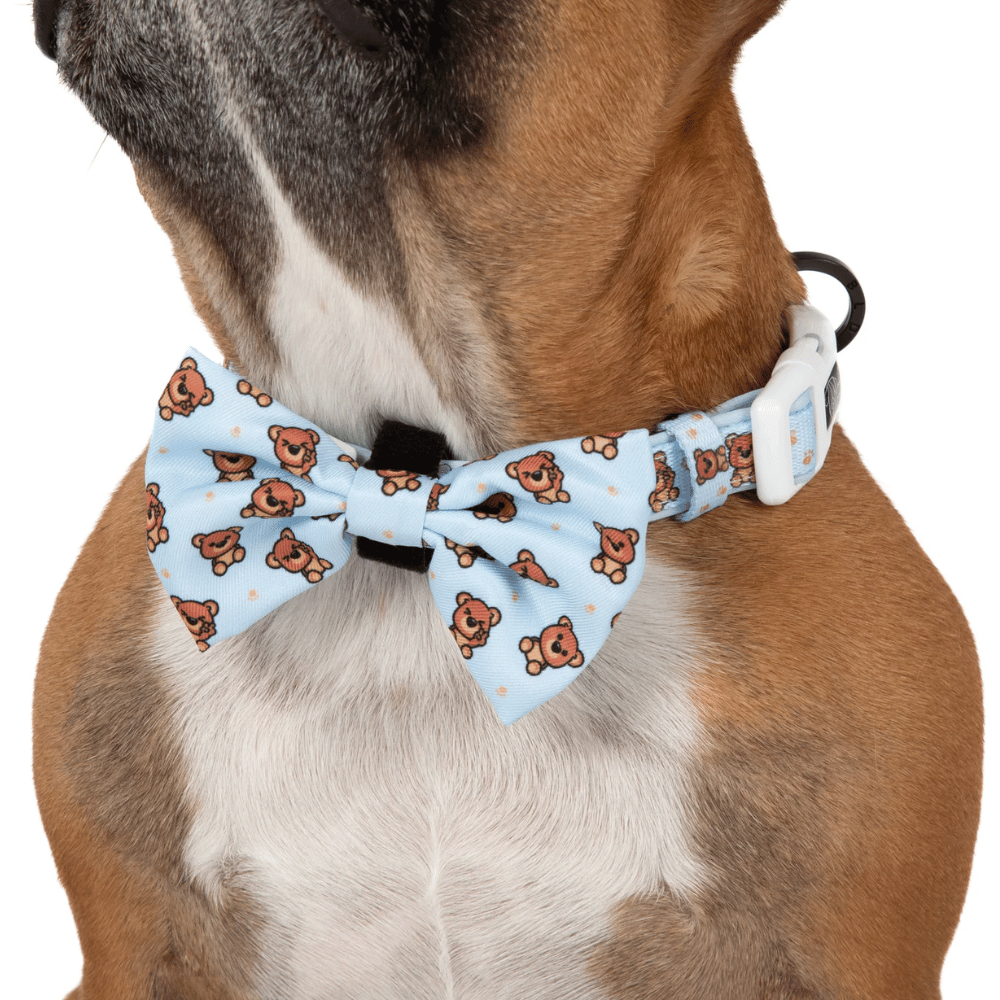 Big & Little Dogs Collar & Bow Tie: Cuddle Club