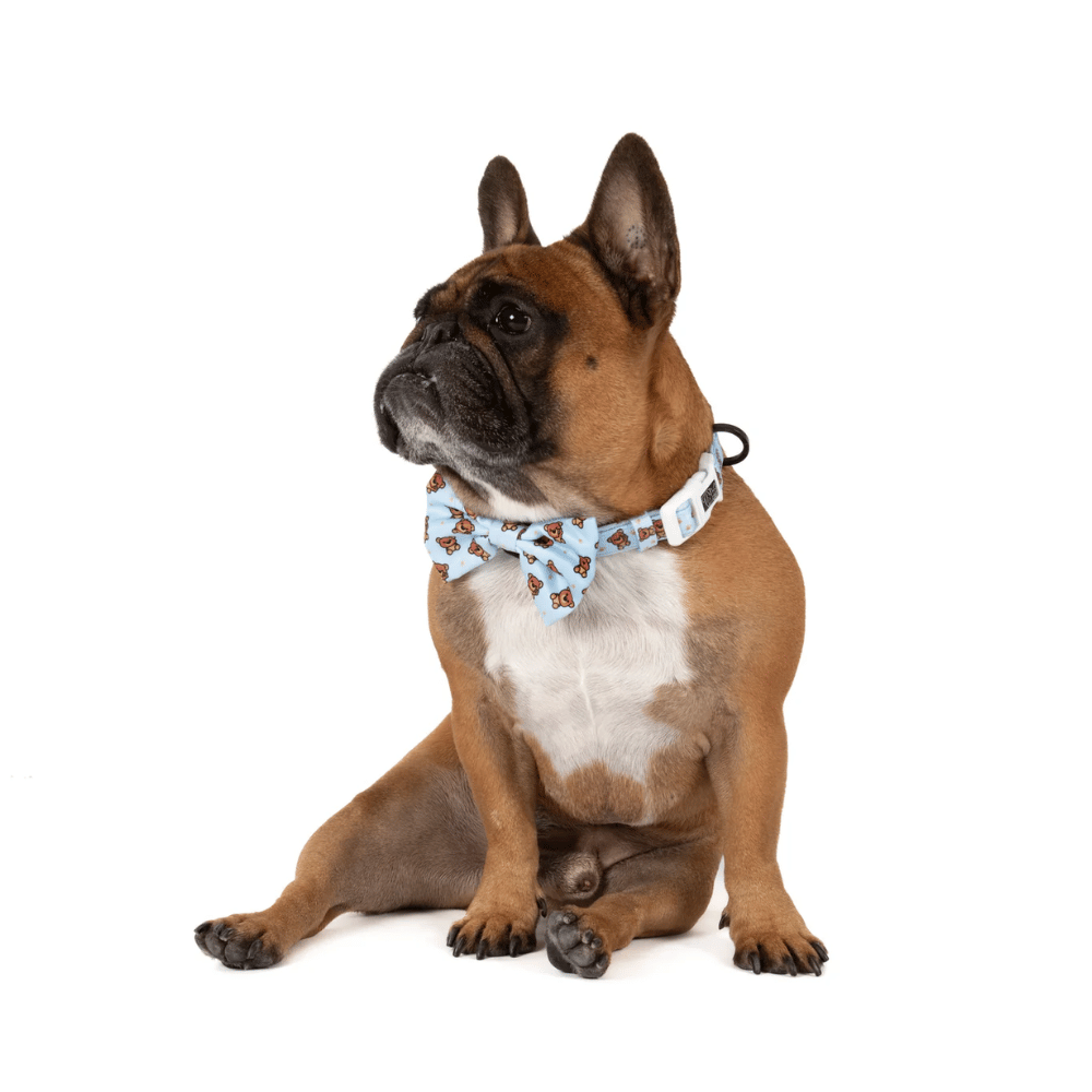 Big & Little Dogs Collar & Bow Tie: Cuddle Club