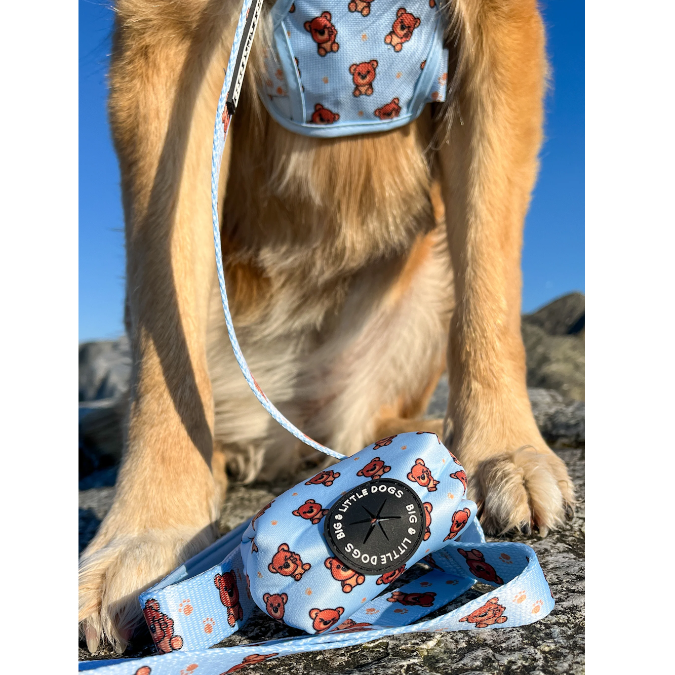 Big & Little Dogs Poop Bag Holder: Cuddle Club