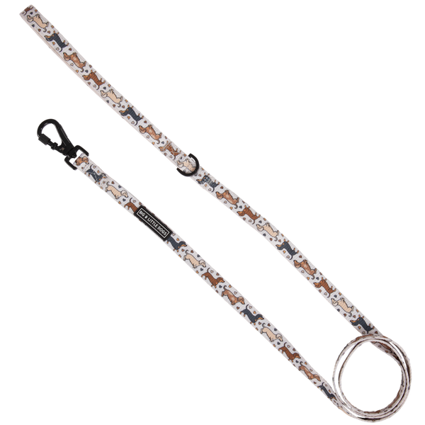 Big & Little Dogs Dashie Lovers Dog Leash