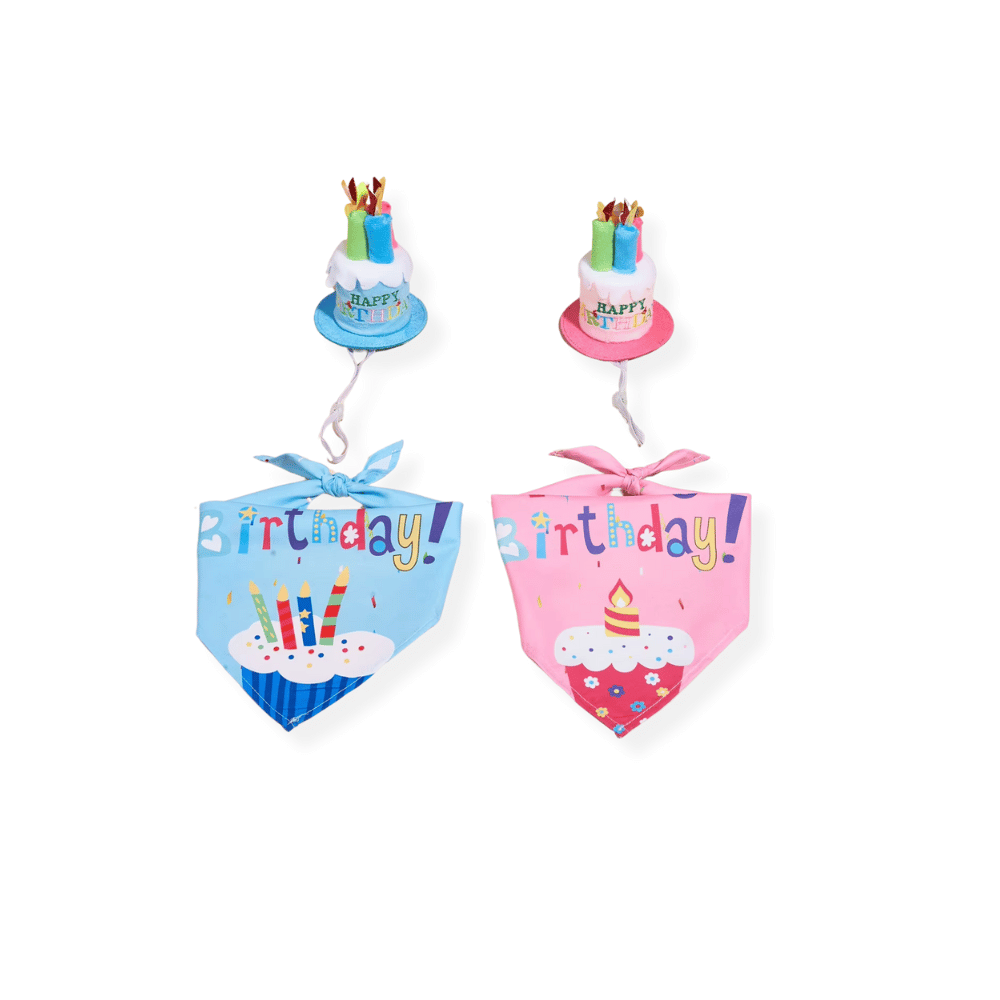 Happy Birthday Cake Hat & Bandana Set - Blue