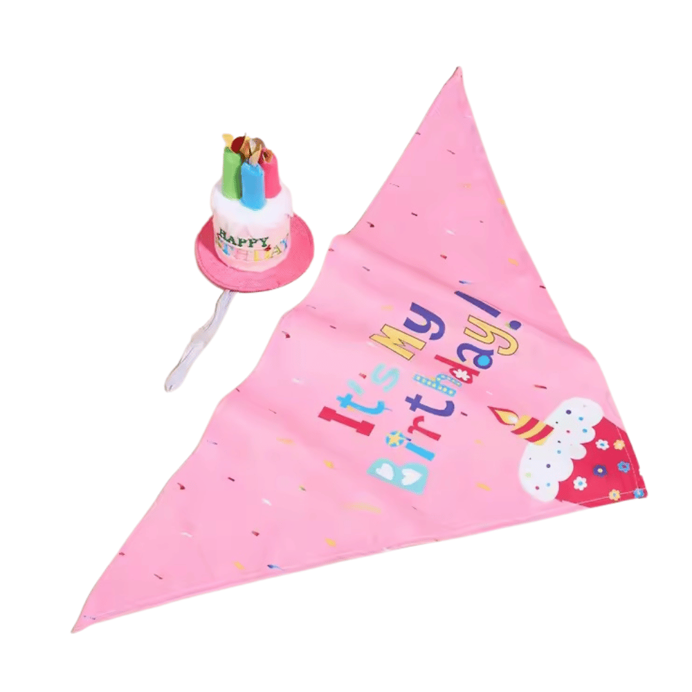 Happy Birthday Cake Hat & Bandana Set - Pink