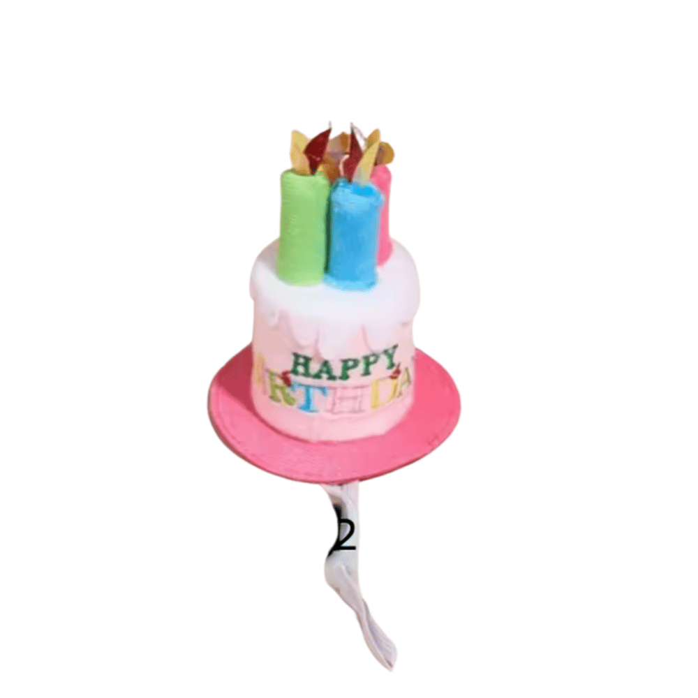 Happy Birthday Cake Hat & Bandana Set - Pink