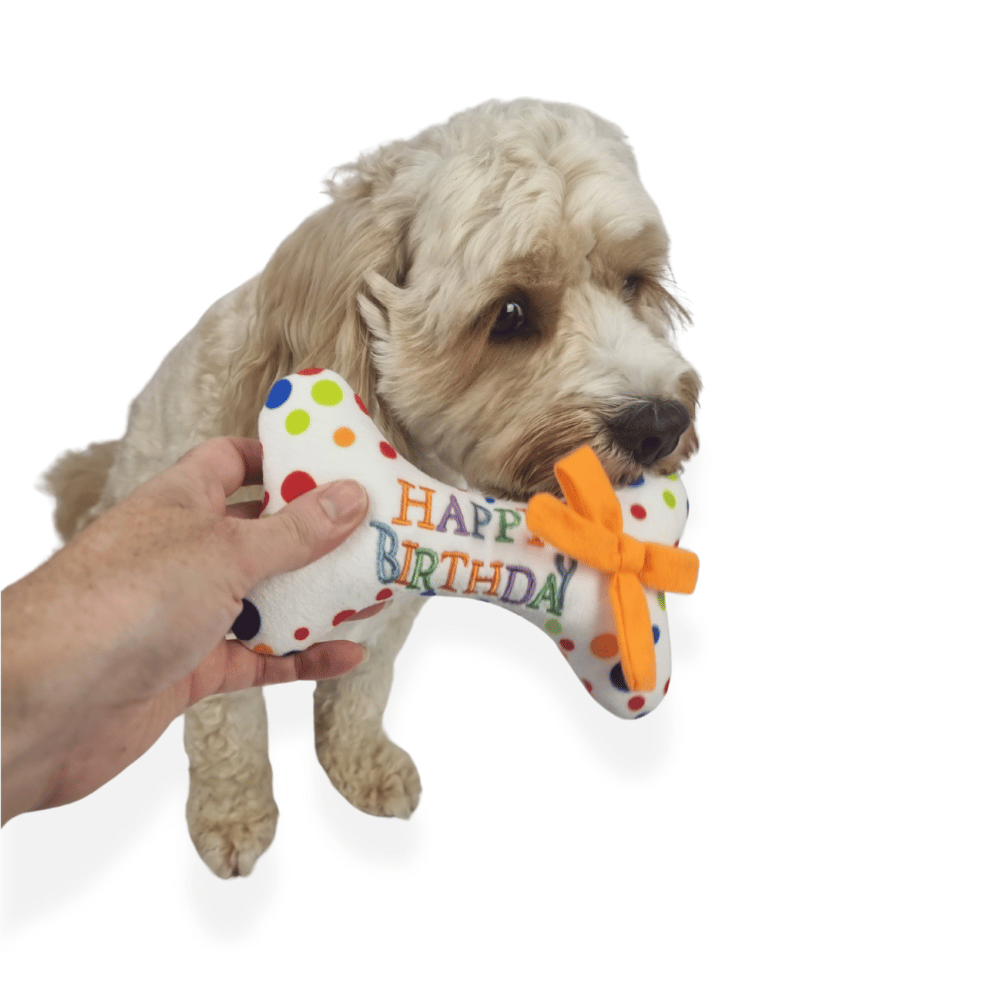 Happy Birthday Bone Dog Toy