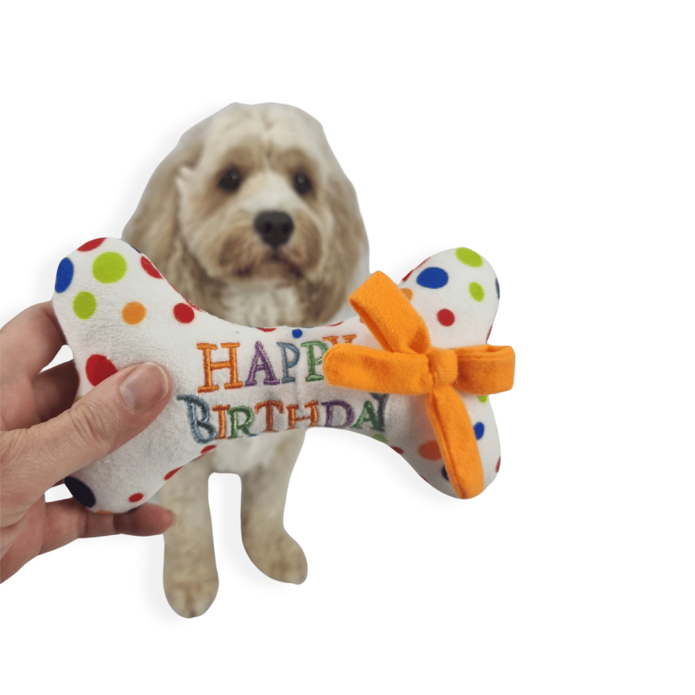 Happy Birthday Bone Dog Toy