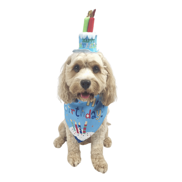 Happy Birthday Cake Hat & Bandana Set - Blue