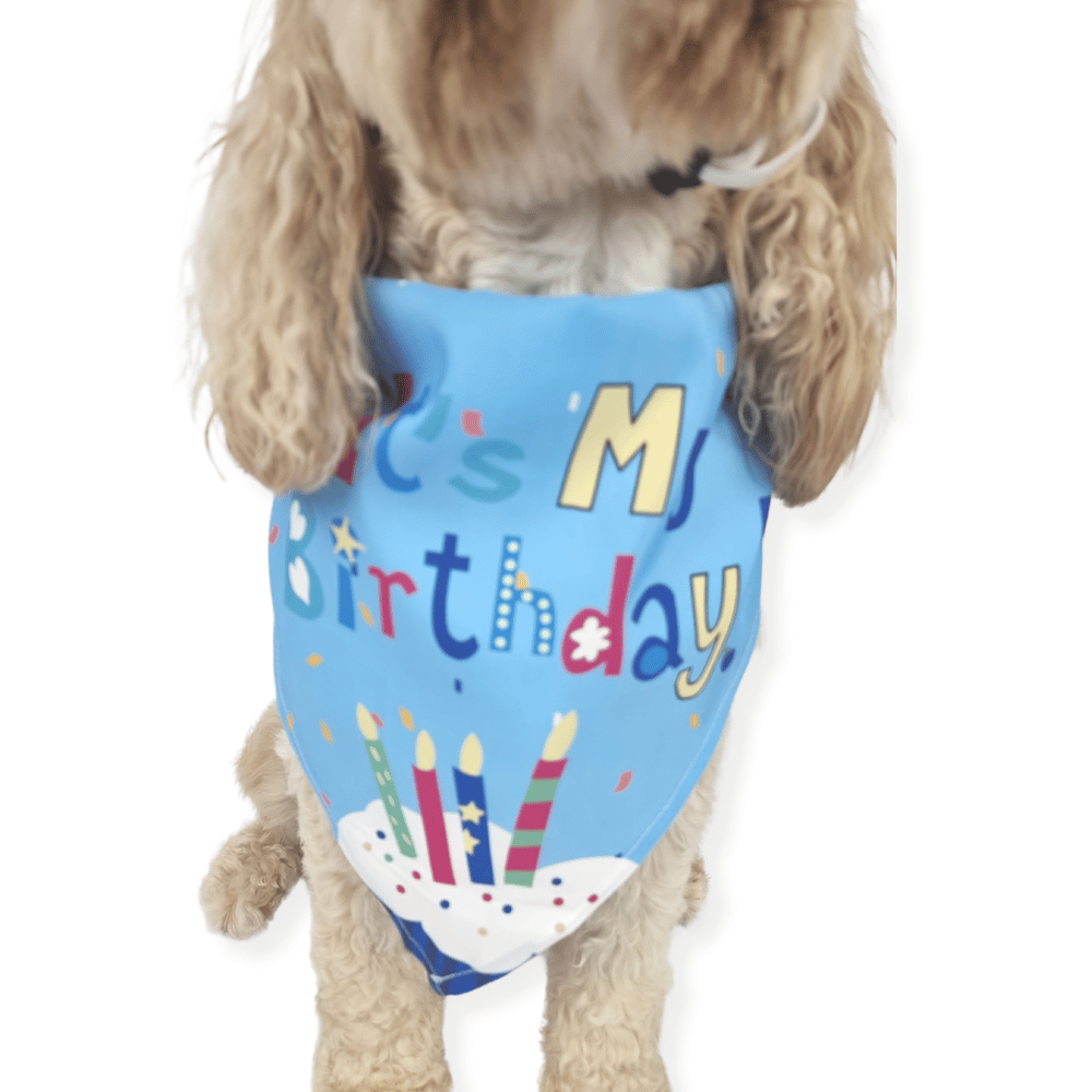 Happy Birthday Cake Hat & Bandana Set - Blue